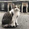 larry_irl.gif (12156 bytes)