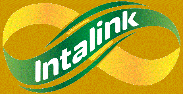 intalink - Copy.gif (53615 bytes)